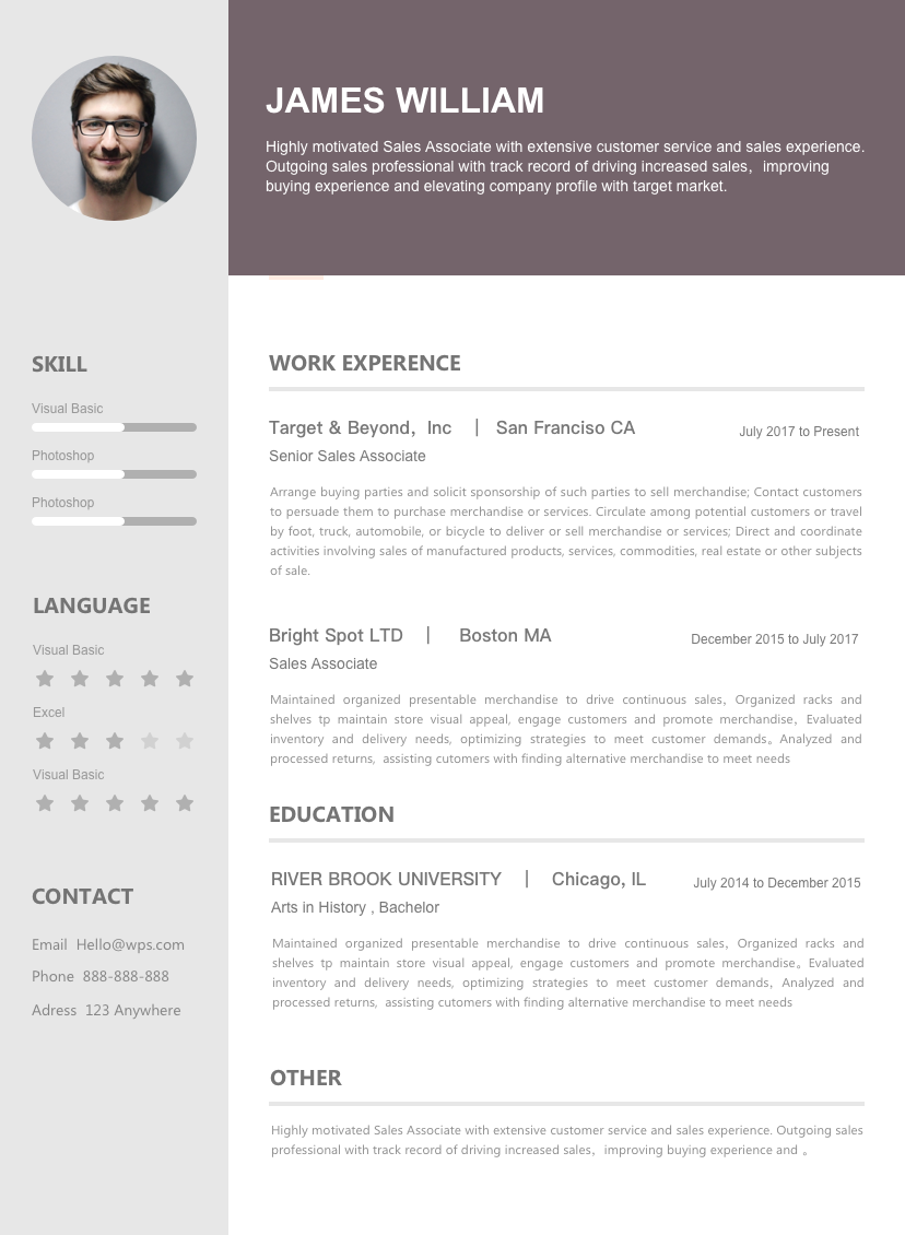 Resume Template Professional